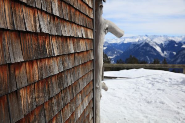 Cedar Siding Repair in Avon