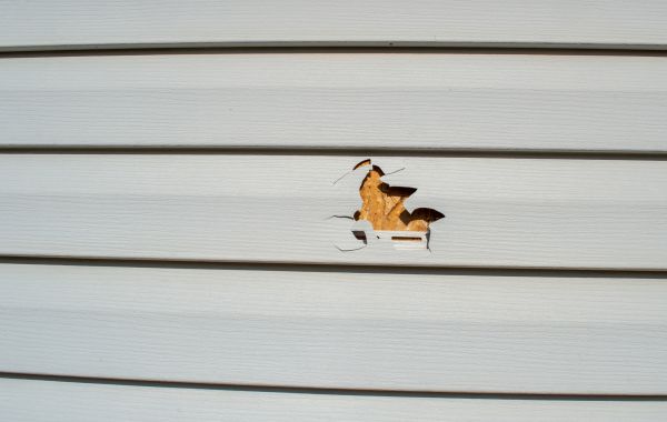 Siding Hole Patching in Avon